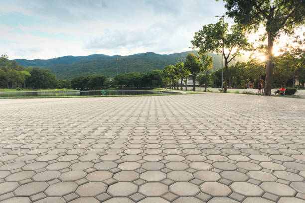 Best Cobblestone Driveway Pavers  in Swepsonville, NC